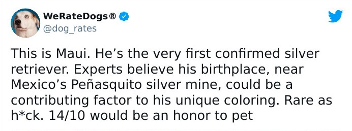 缇庡浗灏忓摜鐐硅瘎瑙嗛,缇庡浗灏忓摜鐐硅瘎