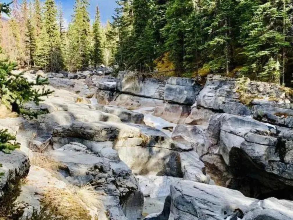 3万条蛇集体交配,雄蛇伪装成雌蛇,交配后还使坏堵住雌蛇泄殖腔