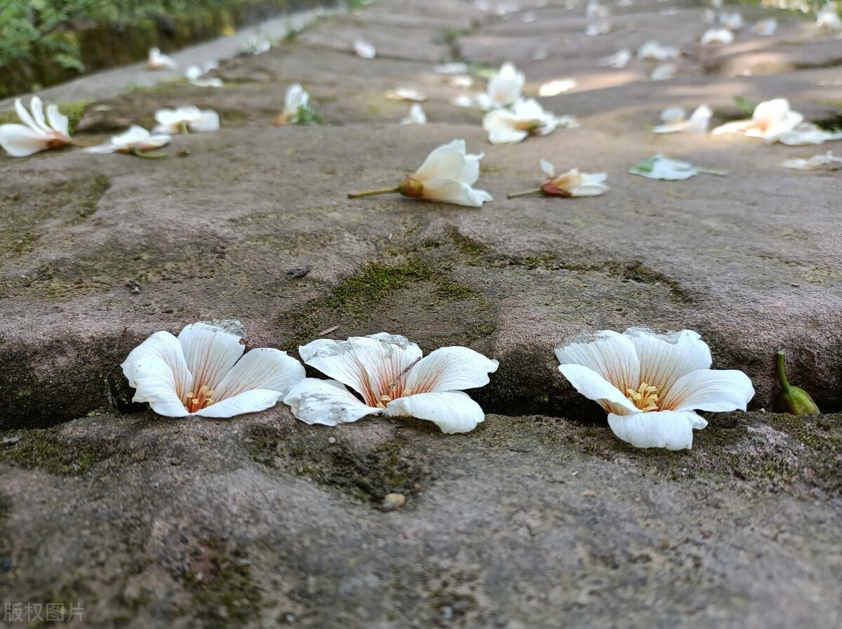 水瓶座长情且深情,水瓶座的深情与无情