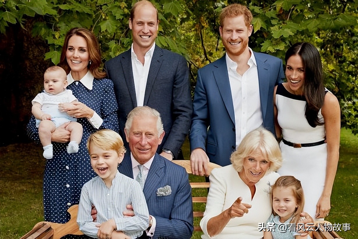 凯特与哈里相处,凯特和哈里的矛盾