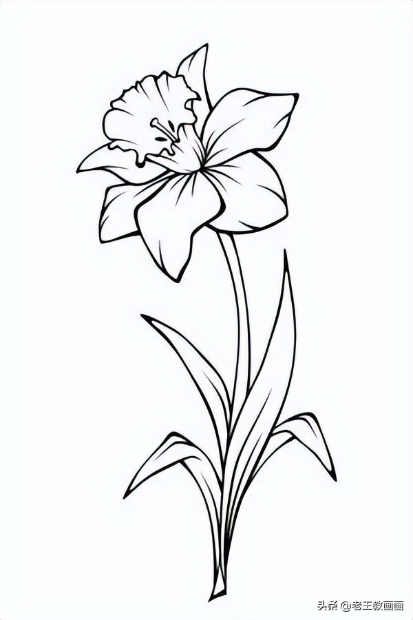 学画工笔花卉郁金香简笔画,手把手教你简笔画手绘线描花卉