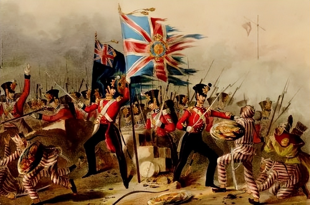 缅北训狗场女性被救,缅北训狗工厂