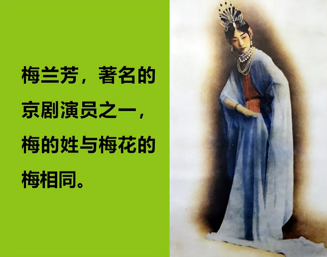 梅花总部成立 (新成立的梅花企业)