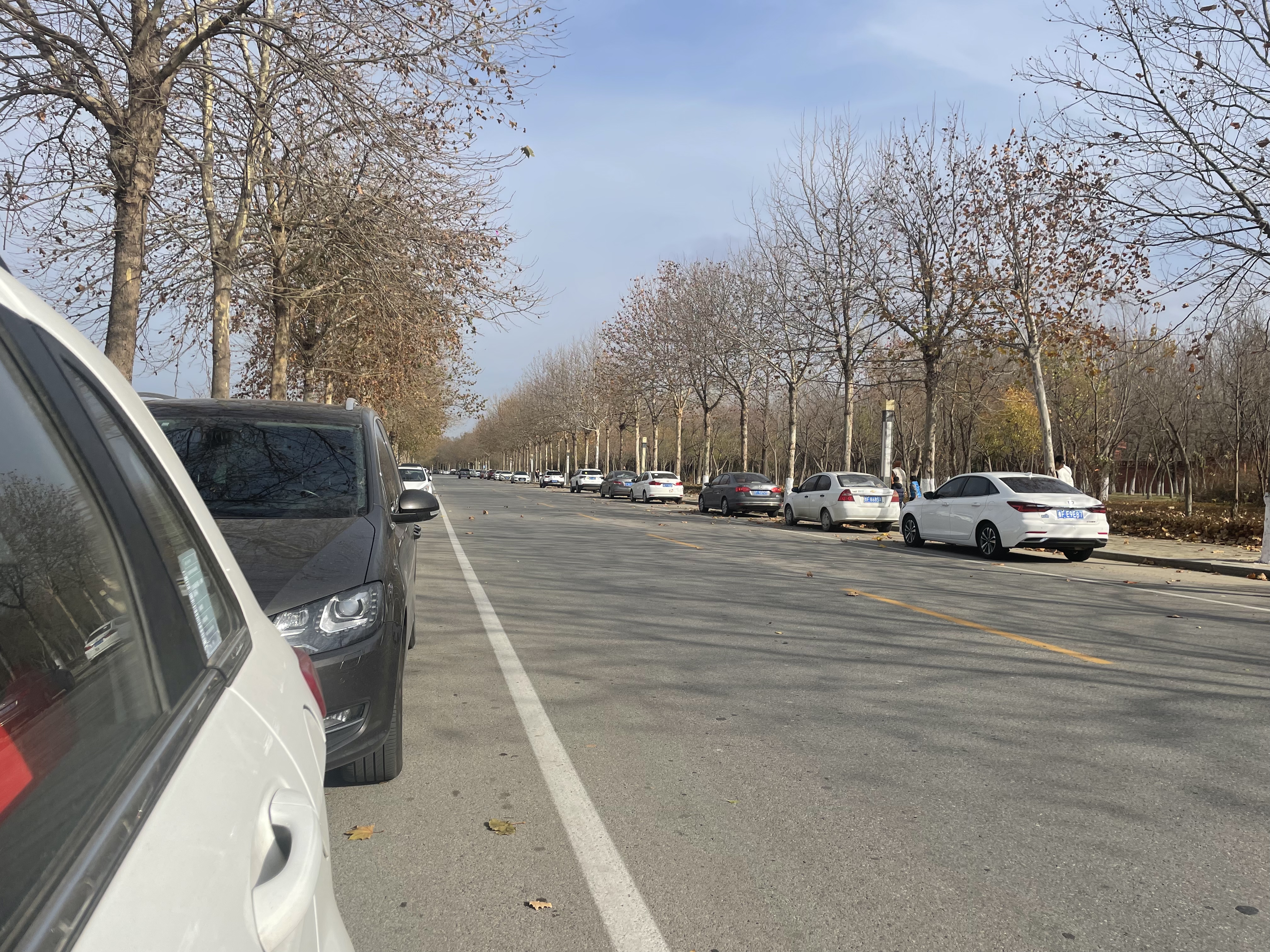 烟台牟平未来一个礼拜的天气,牟平还有发展优势吗