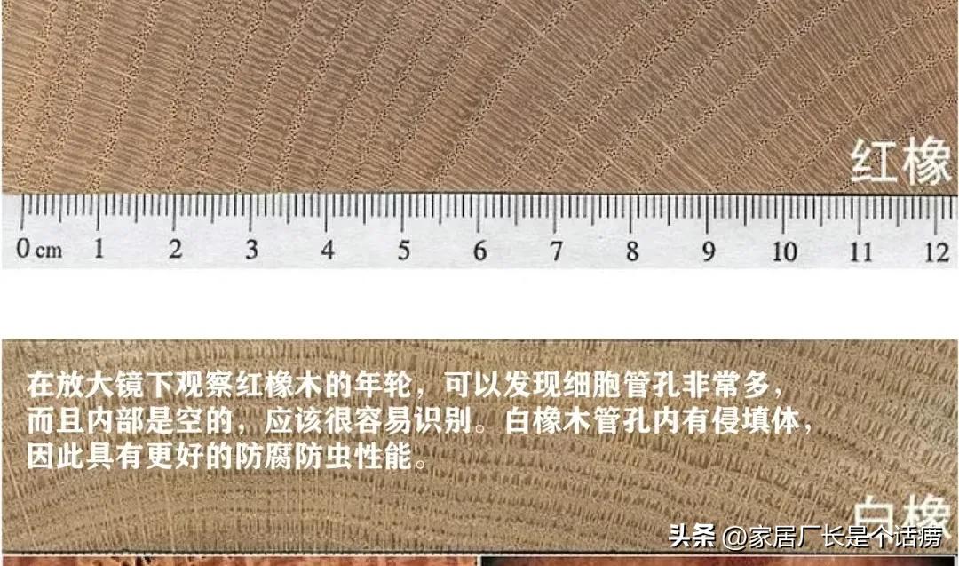 红橡木白橡木和橡胶木区别,红橡木和白橡木与橡胶木区别