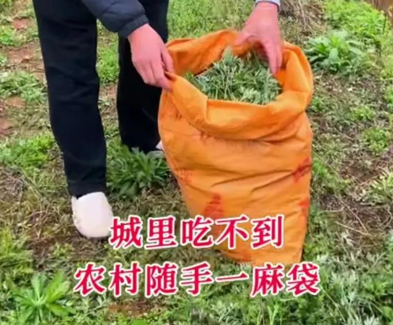 10元钱3斤“自己家”的生意，羡慕死了多少人