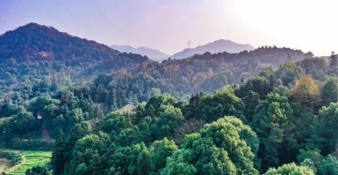 谷山森林公园和岳麓山哪个高,谷山森林公园跟岳麓山顺路吗