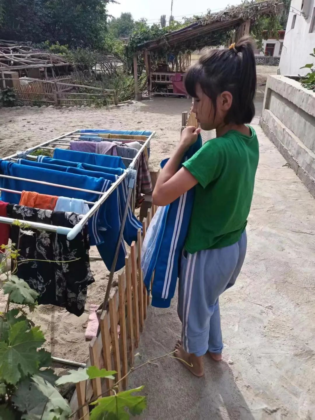 跨越1500公里的救助,跨越1000公里支教