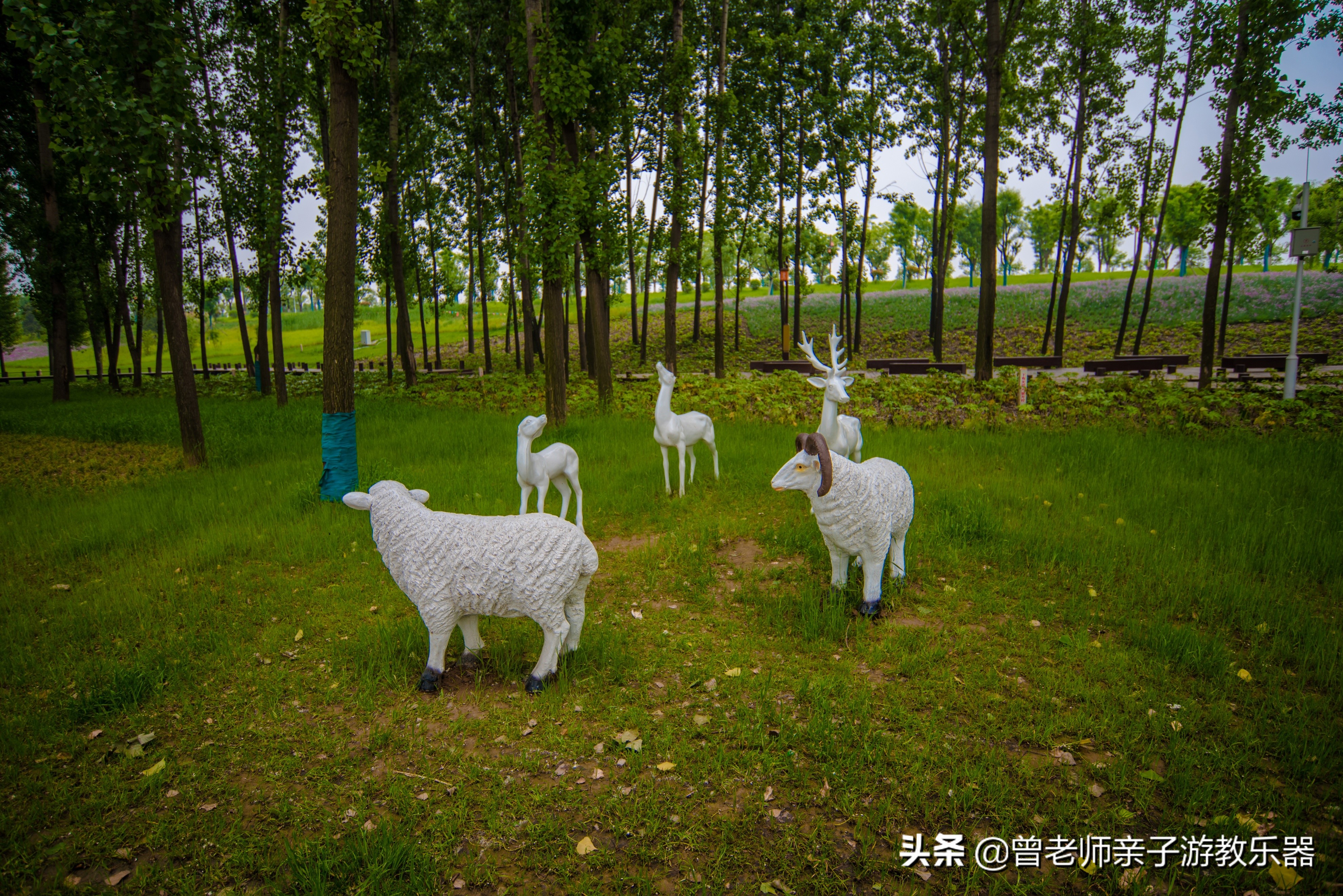 2022西安遛娃一日游的绝佳去处,2022年春节西安遛娃去哪玩最合适