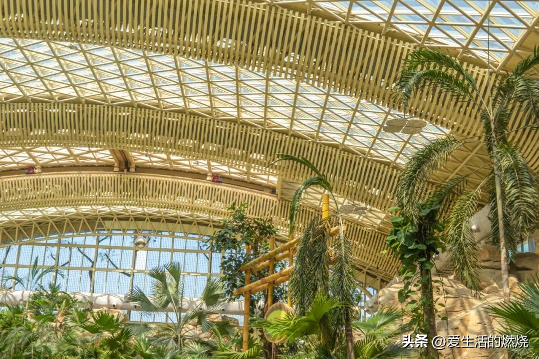 杭州森泊开元度假酒店不含门票,杭州开元森泊度假酒店存在的问题