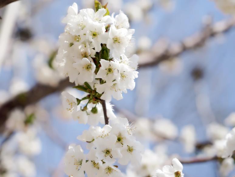 远大抱负且霸气的古诗原创,吟诗作对的经典诗句