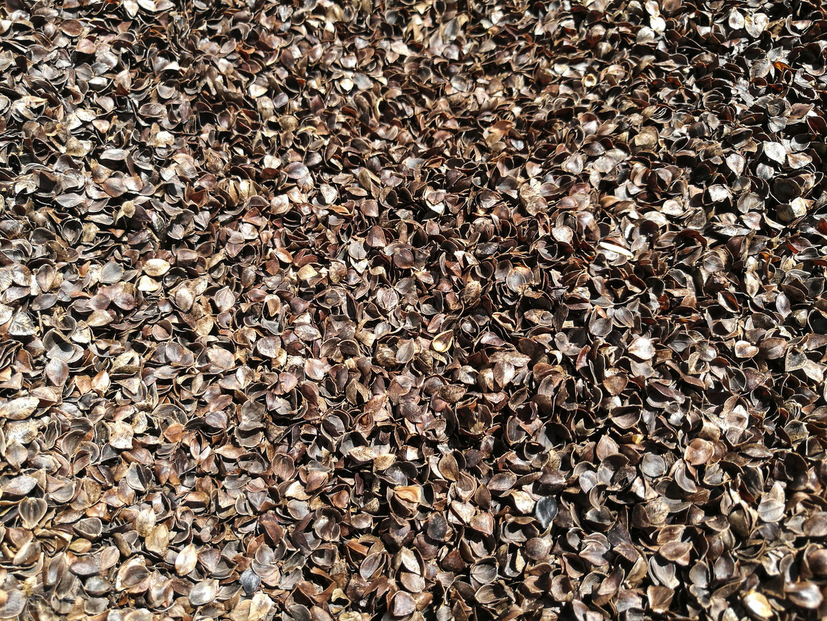 脏枕头被套清洗小妙招,枕头被褥脏了怎么清洗