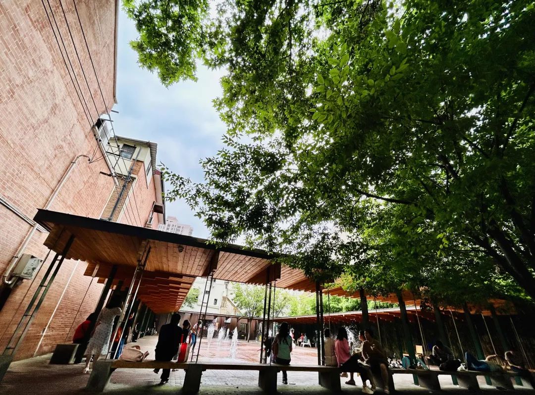 全区唯一!这个有4312棵行道树的街道,厚植梧桐街区绿色生态!