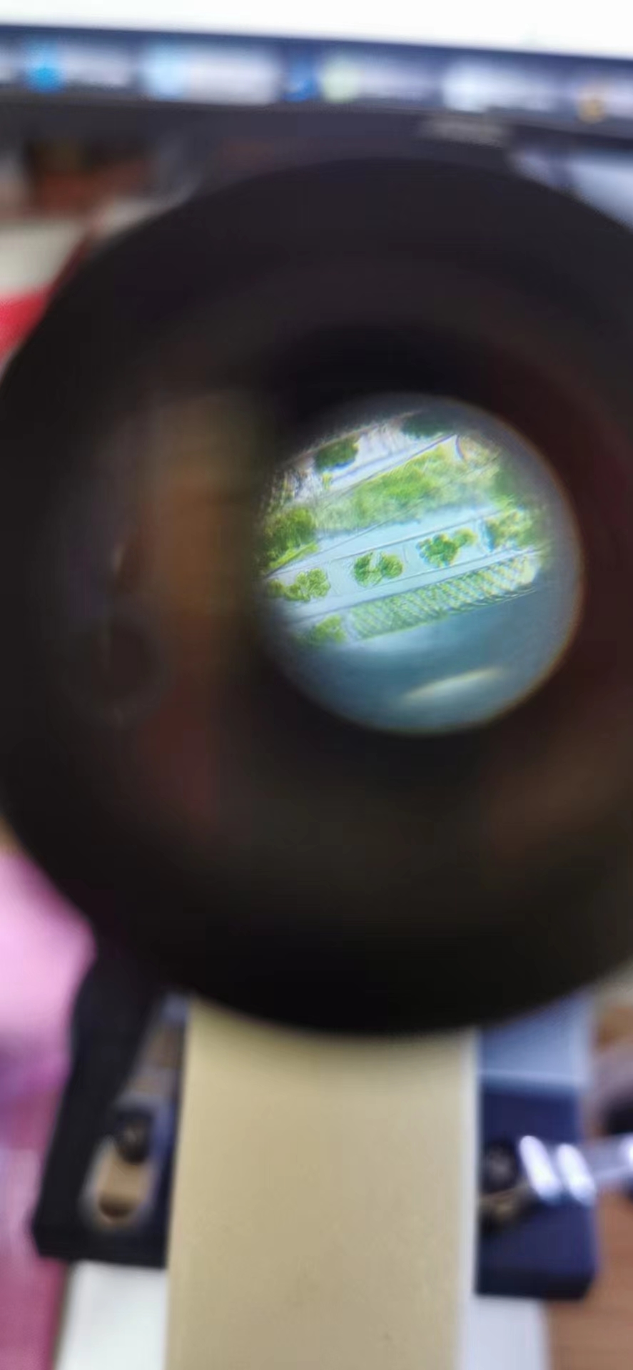 七彩水草缸怎么抑制藻类,水草缸怎么治疗水霉