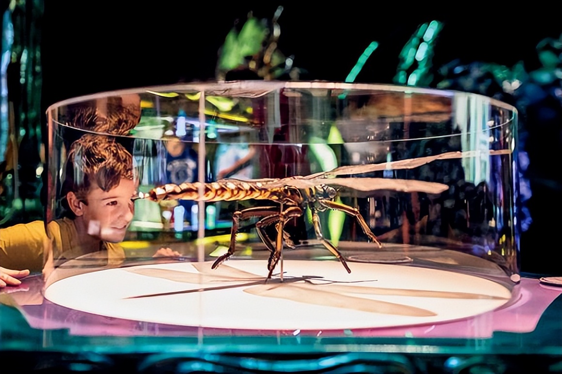 苏州乐园森林世界亲子溜娃好去处,苏州网红打卡地歌林公园