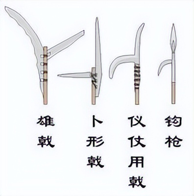 人类起源新说,人类起源新论完整版