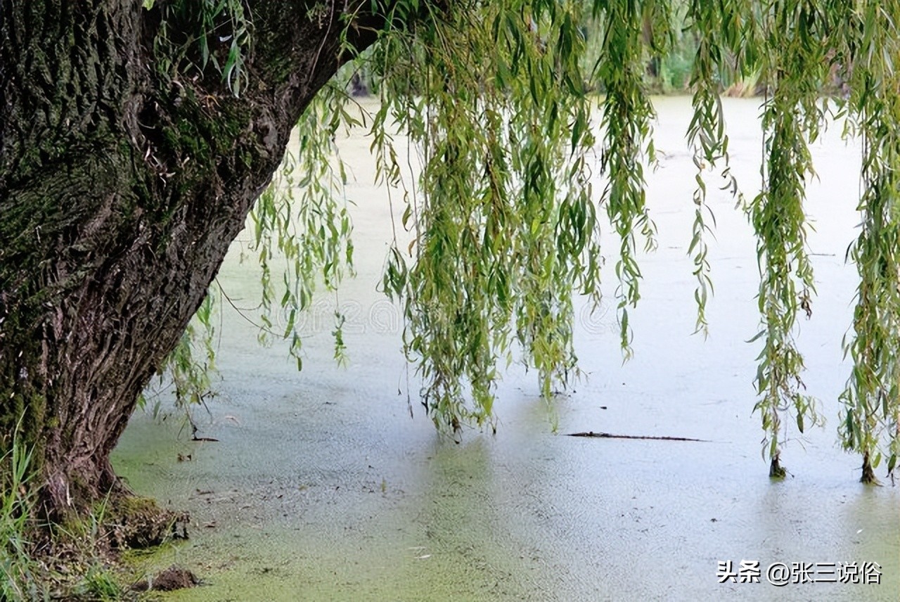 是上午立秋凉快还是下午立秋凉快,晚上立秋凉快还是早上立秋凉快