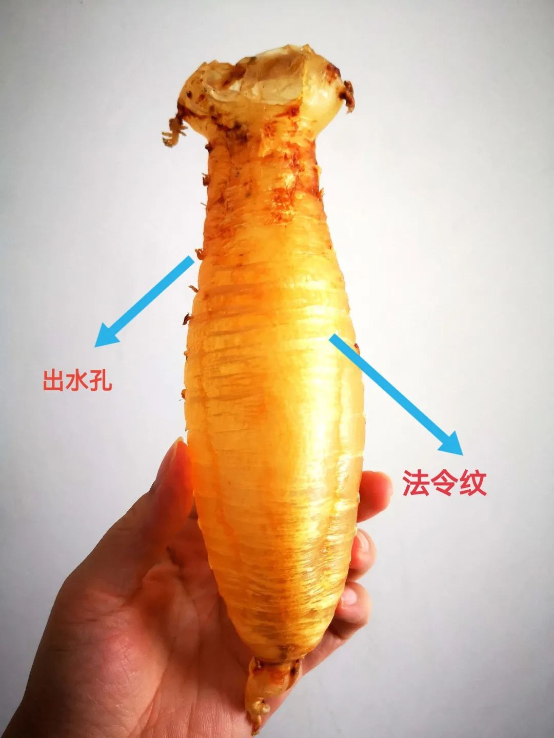 产后适合吃哪种花胶,手术后可以吃花胶吗