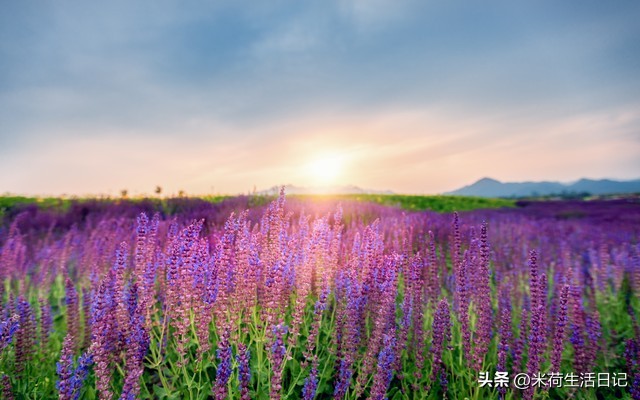 80后鼻咽癌经历者米荷自述12：余生活着，看开一点放轻松一点