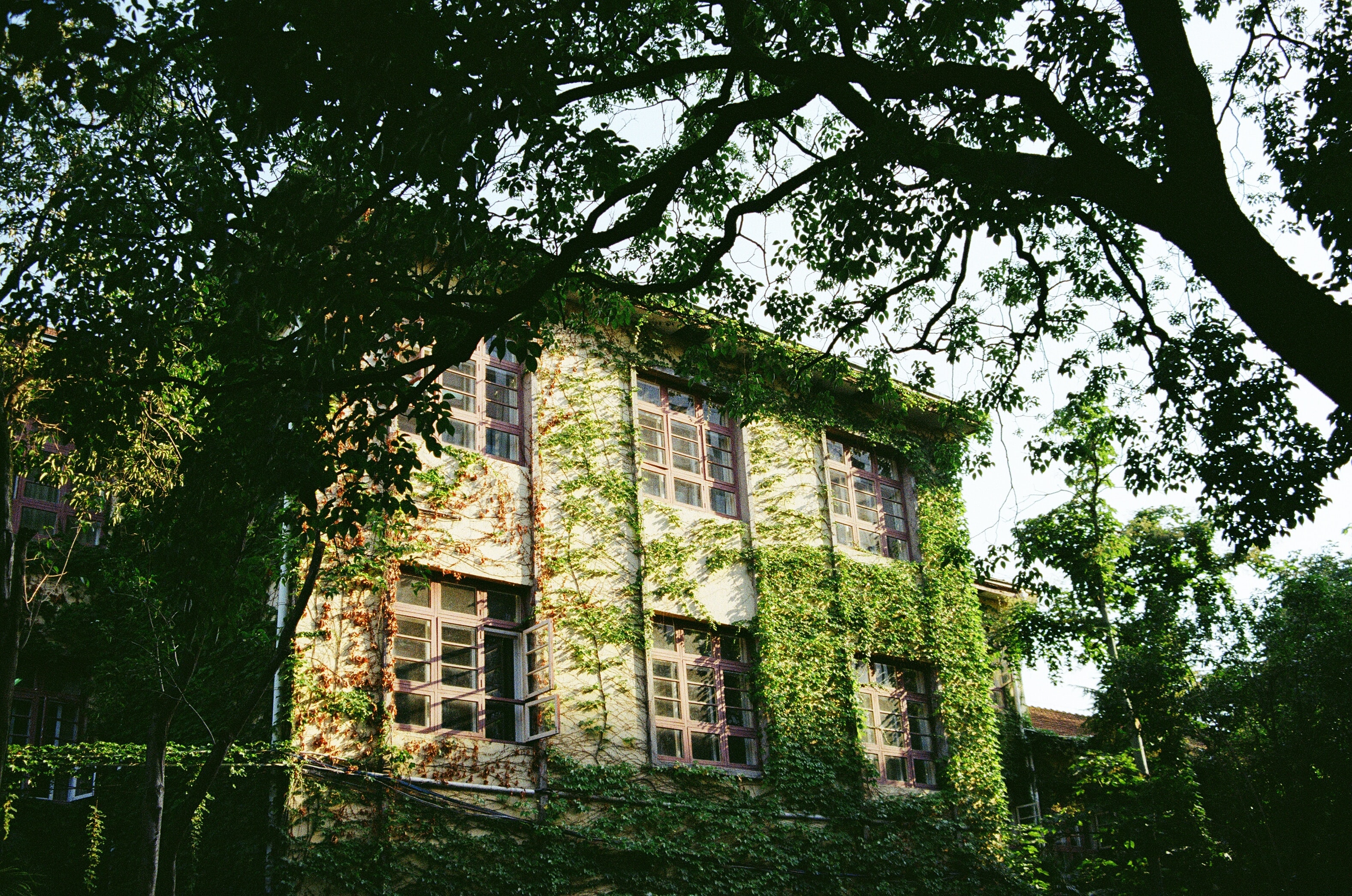 文科读研很轻松,文科本科真没必要读研吗