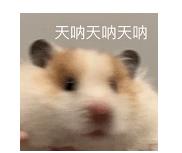 妇科检查可以去私立医院吗,女生检查妇科去哪种医院