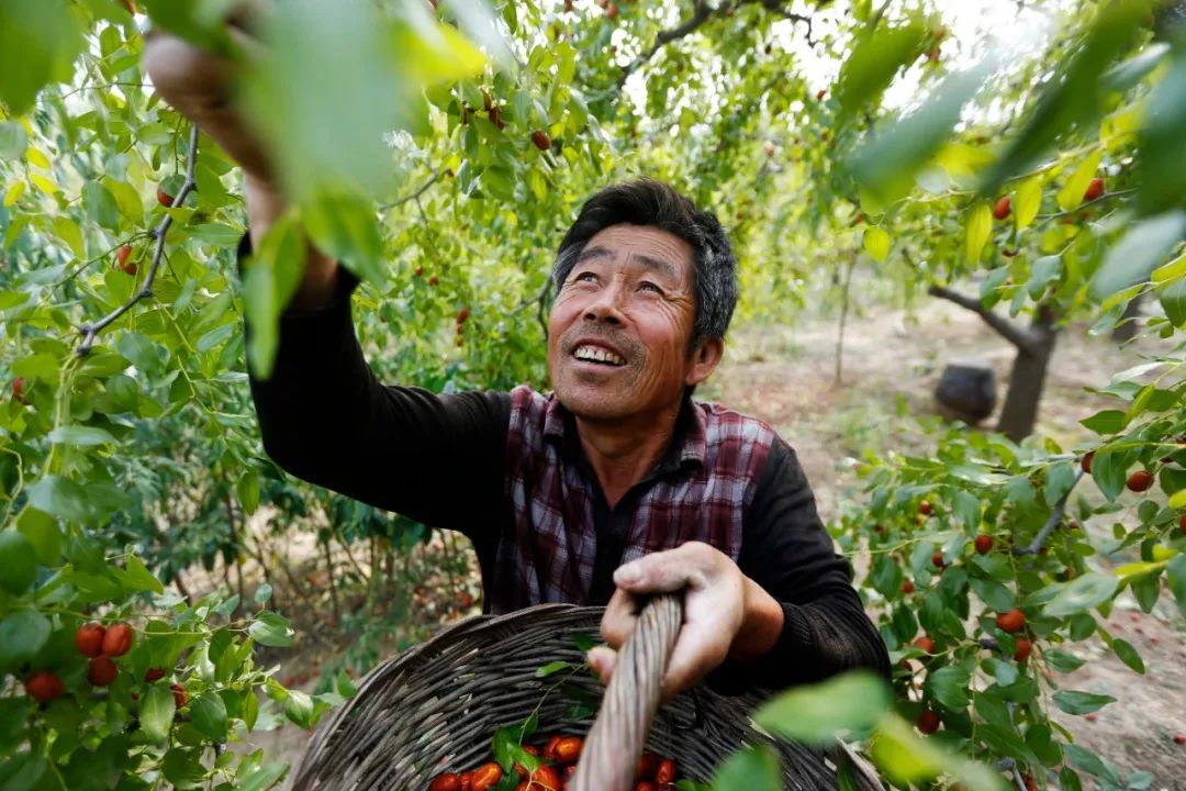 在绿色的邮政挖呀挖呀挖→