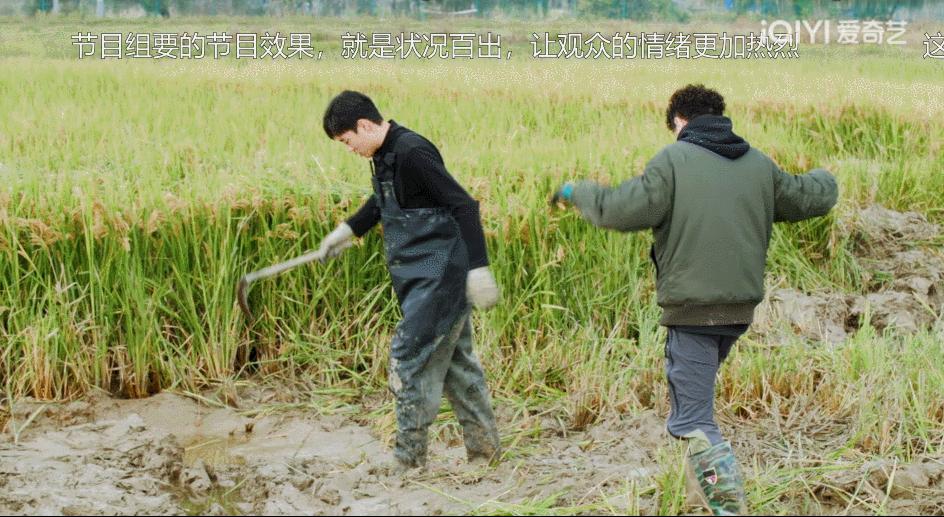 从豆瓣8.4到9.0分，这群认真种地的少年们，值得被所有人看见