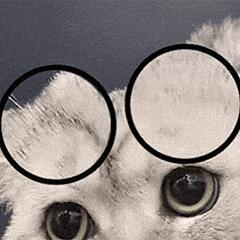 鍘﹂棬娌欐哗鏈夋矙婊╄溅,鍘﹂棬娴锋哗涓婃湁瑁呯敳杞﹀悧