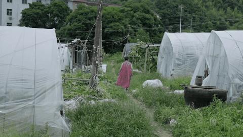 57岁北漂女工，在女厕3㎡管道间里画画：这里安放我的灵魂