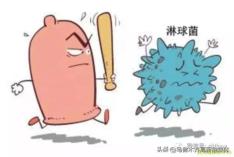 健康方面的科普,健康科普泌尿科