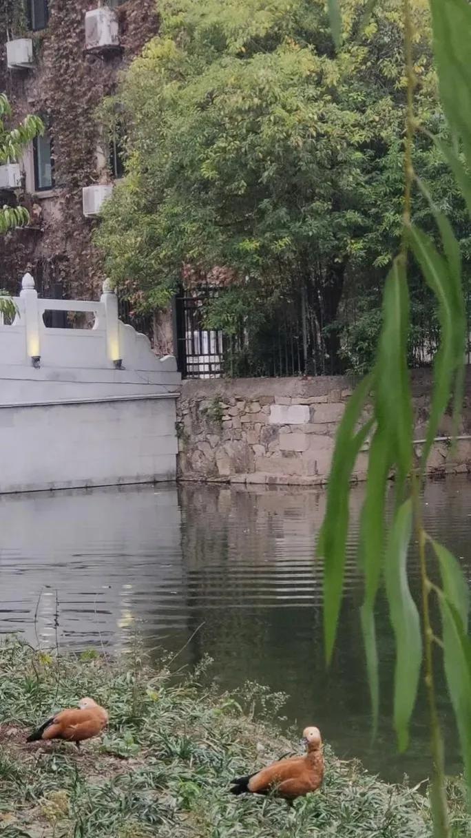 苏州东园园林地址,苏州东园园林简介