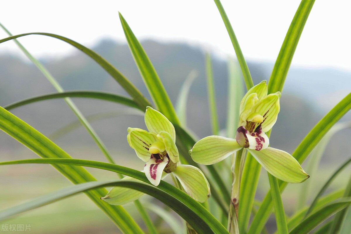 杩囧勾鍘诲摢璧忓叞,鍛ㄦ湯璧忓叞