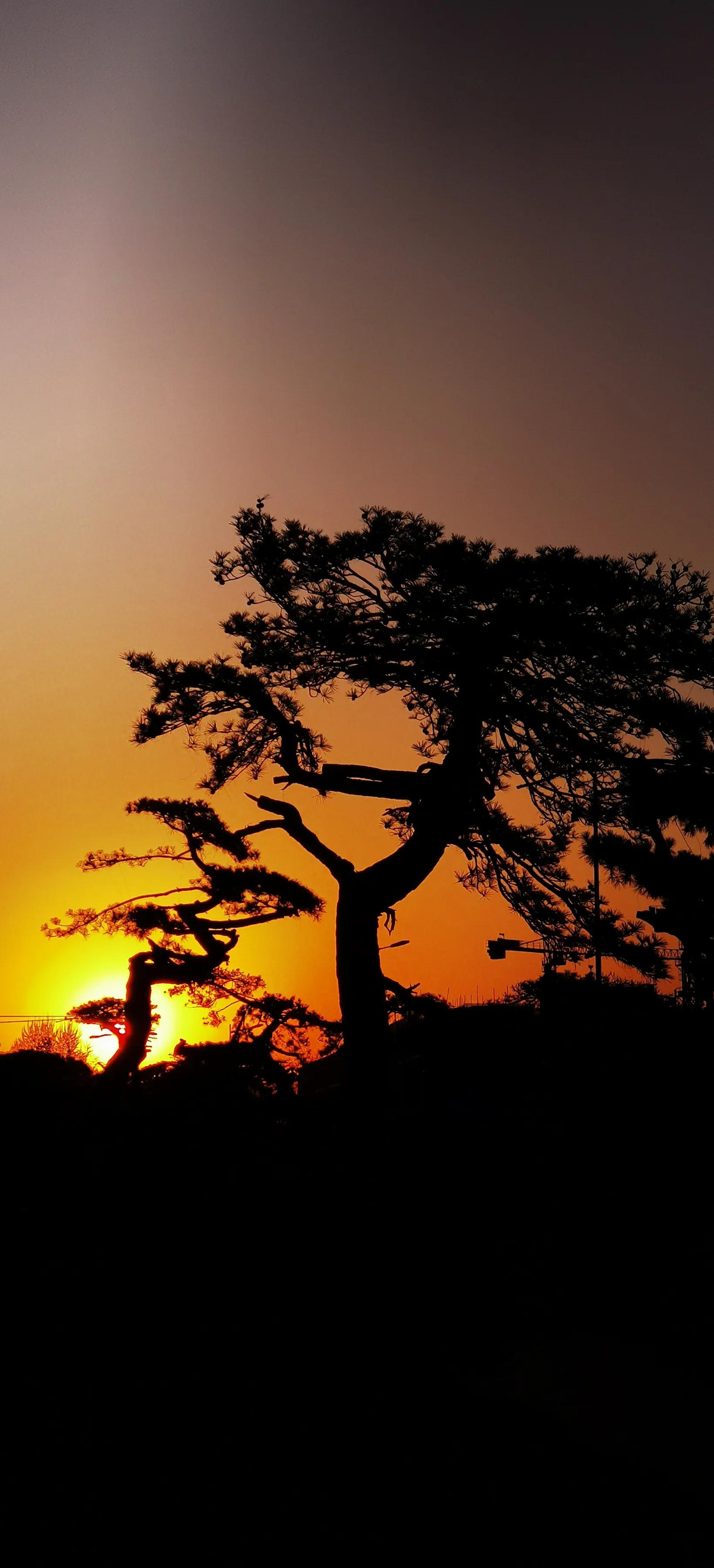 手拍世界近期作品,手拍世界完整版视频