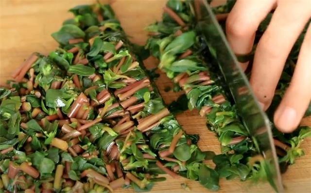 马齿苋简单的家常做法,马齿苋怎么做好吃又简单