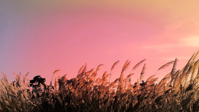 营销策略微商运营策略,微商运营精准营销用户画像