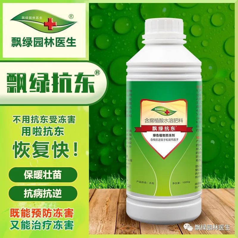 苗木受冻害了怎么补救,苗木叶子发黄冻害解决方法