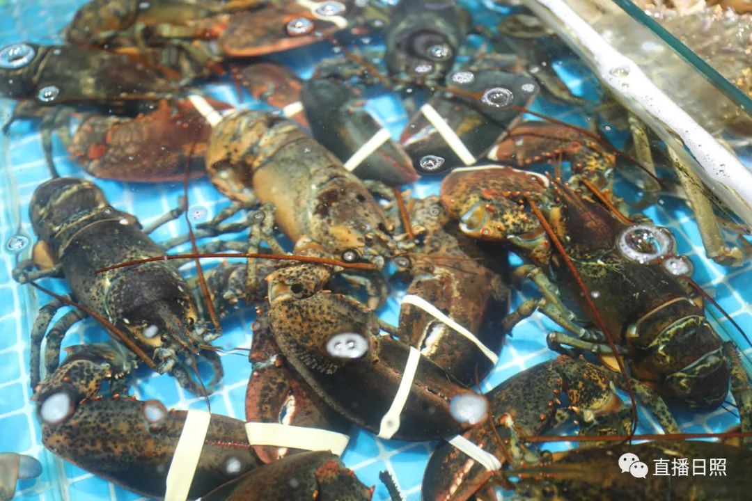 封海倒计时威海海鲜涨价了吗,封海前后海鲜价格对比