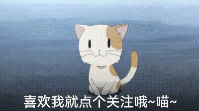 对主人双标的狗,双标猫咪对主人好对别人不好