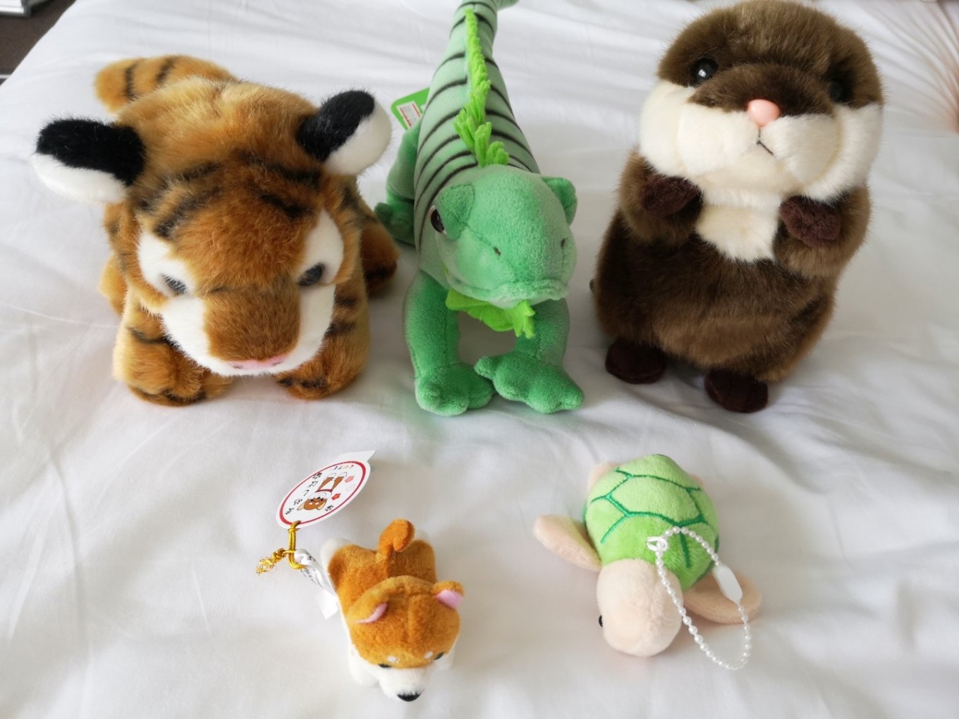 暑期档2019年,2019年暑期档