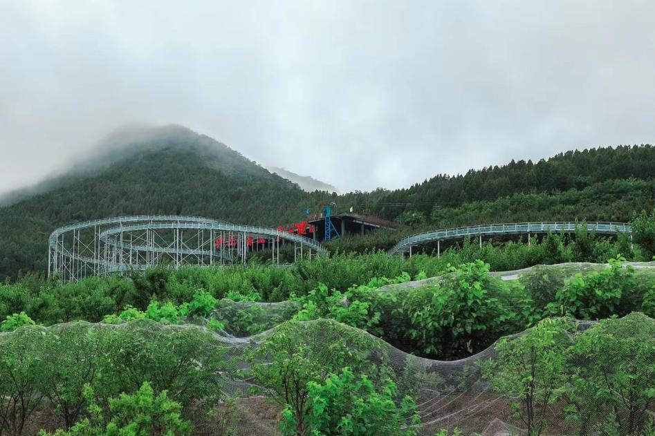 逛吃逛吃歌曲,逛吃逛吃大张伟