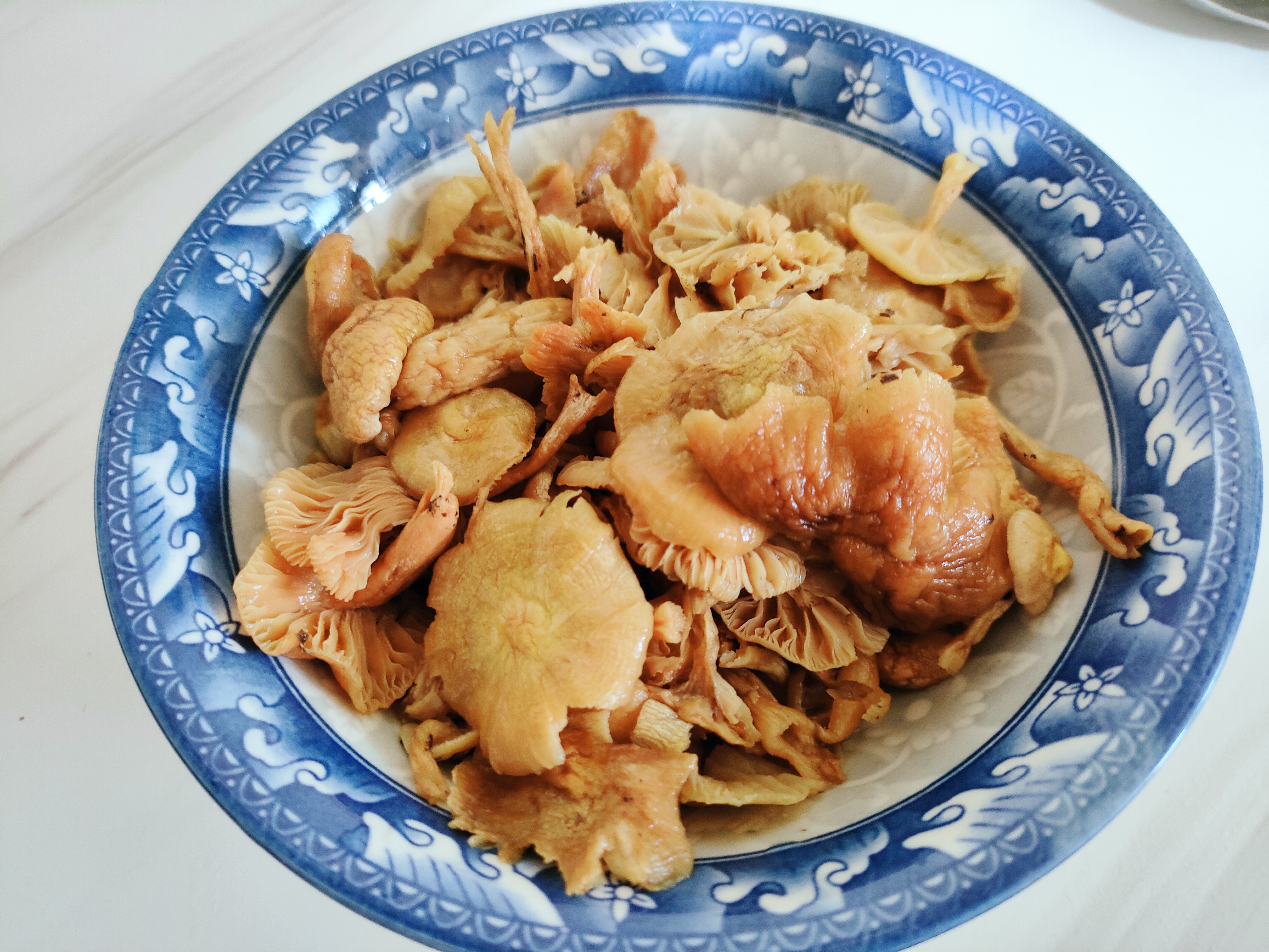 什么鸭肉煲汤才好喝,用鸭肉煲粥