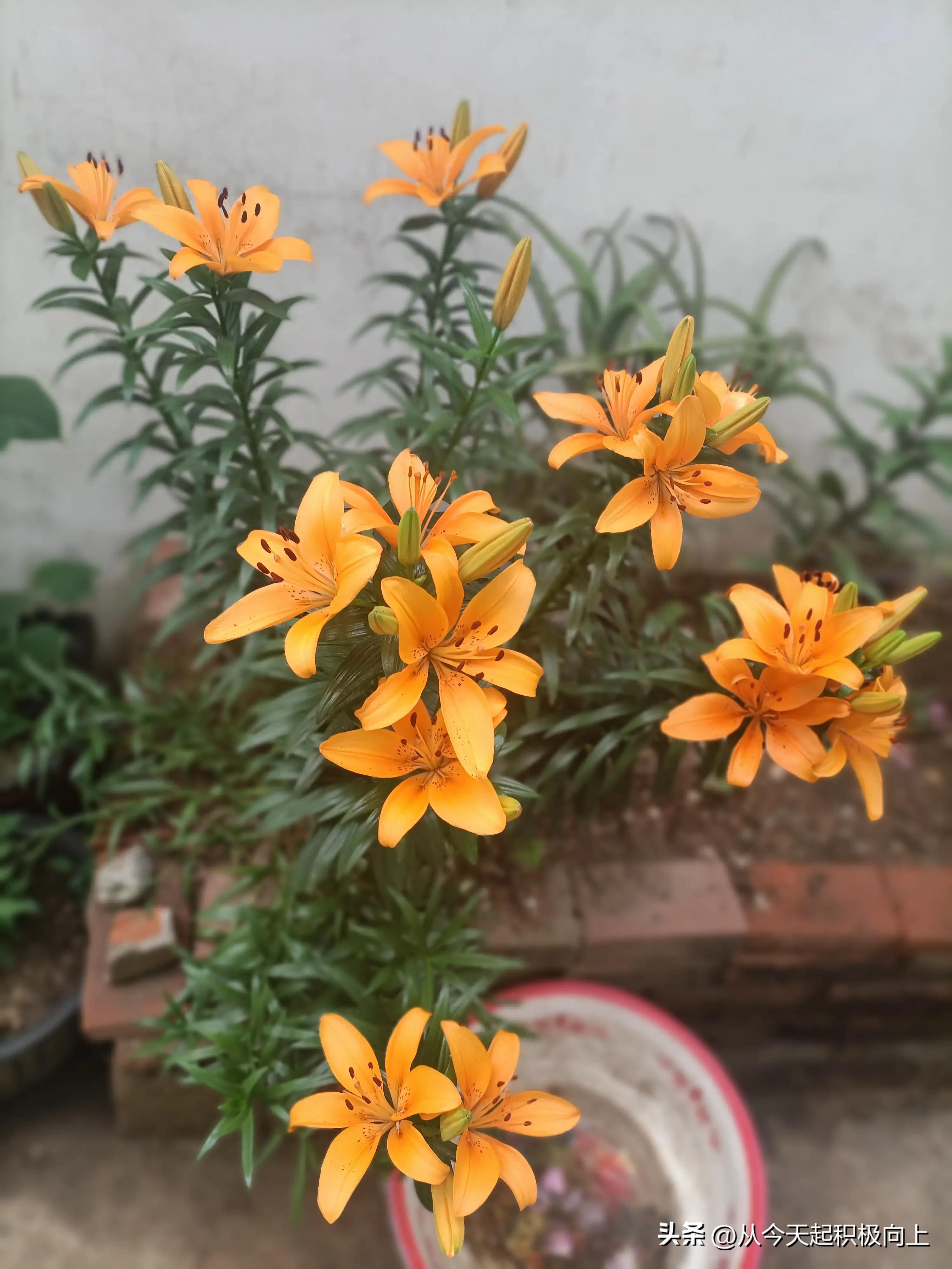 家庭主妇如何提高自己的价值,家庭主妇应该怎么提高收入