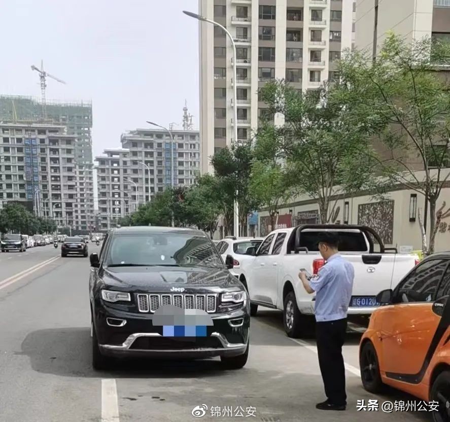 端午节安康粽情万种,端午佳节粽香情浓端午安康