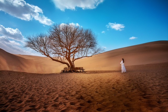 “真我”:赋能我们超越的力量