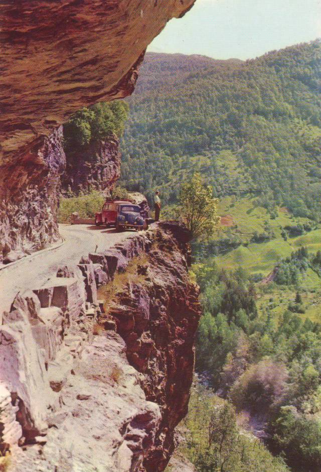 80个神奇的真实照片，不高兴的狗子，崎岖的铁路，倒立劈叉拉筋