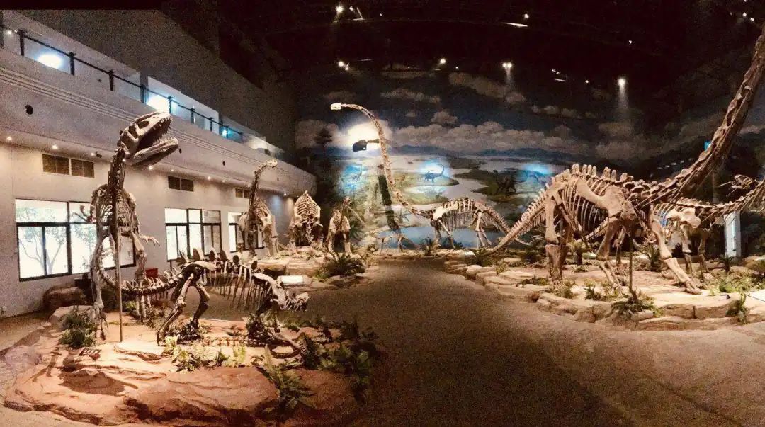 五一放假带娃去哪玩推荐,安逸玩四川