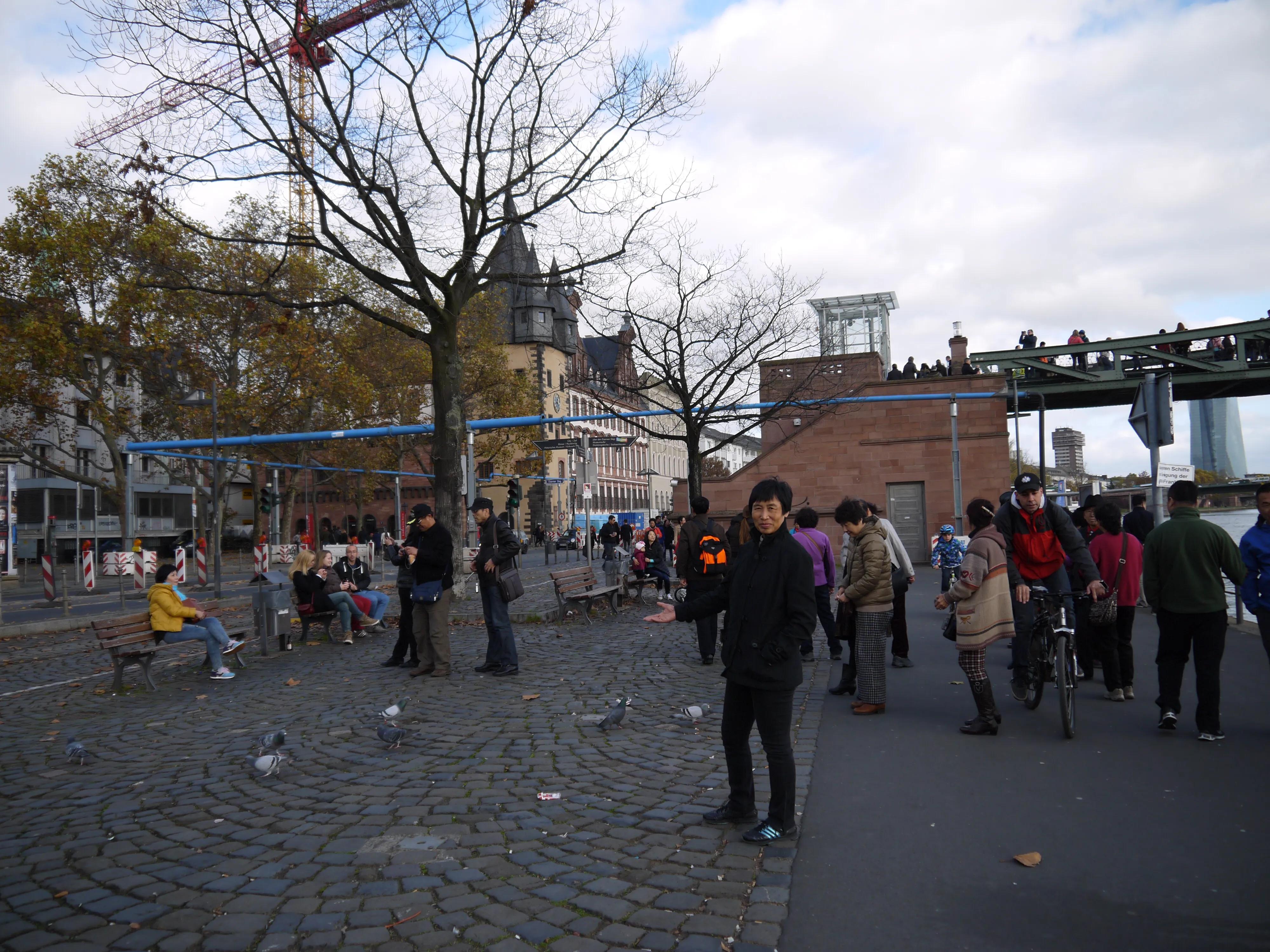 退休老人旅游全国,沈阳旅游团国外游