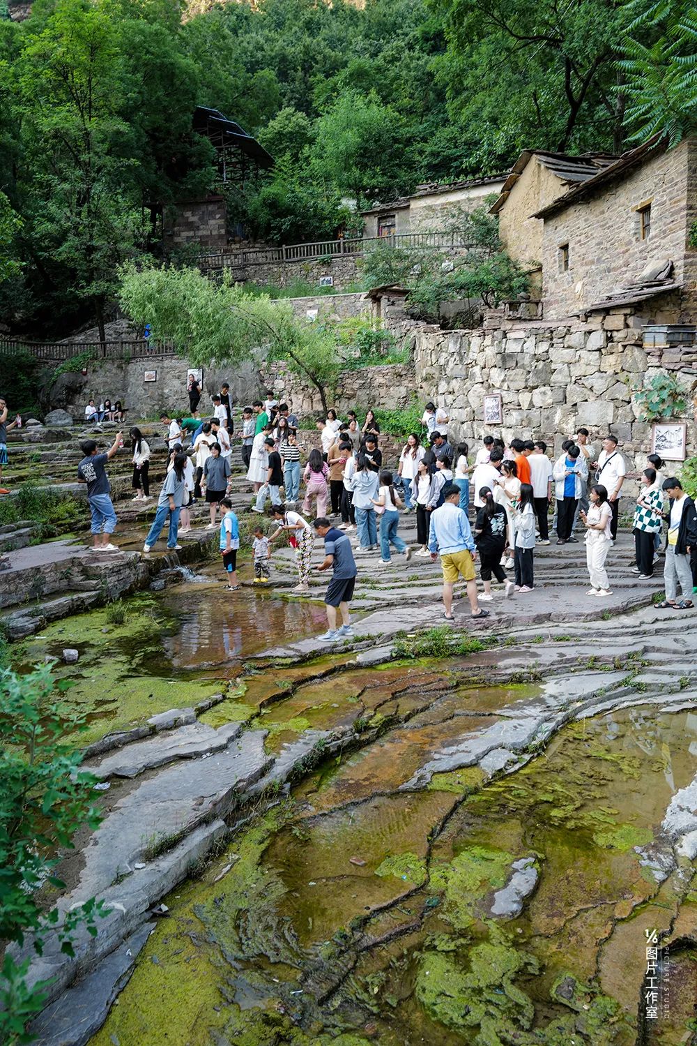 李忠强简介,河南安阳李忠强