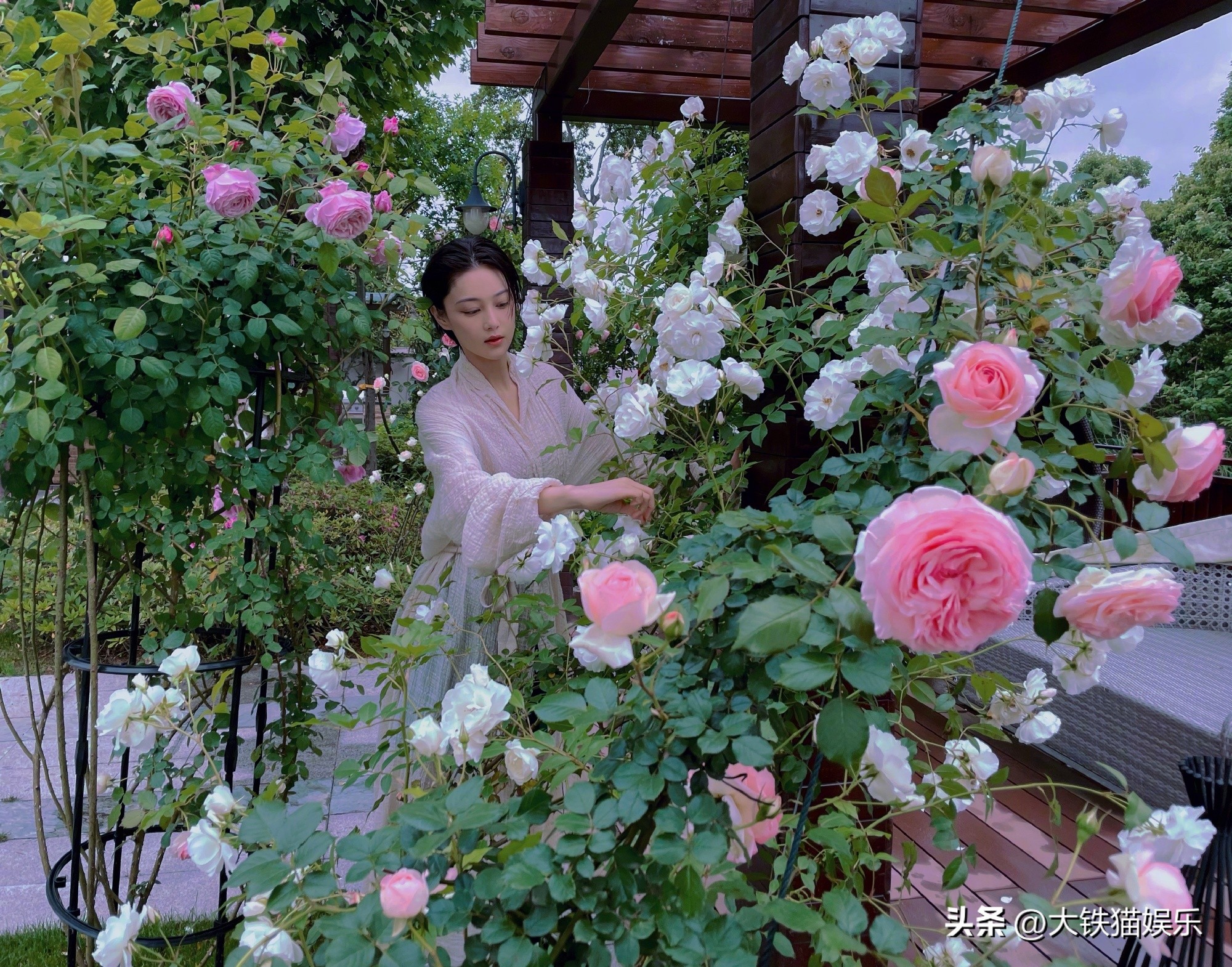 表面是女神,表面上是女神