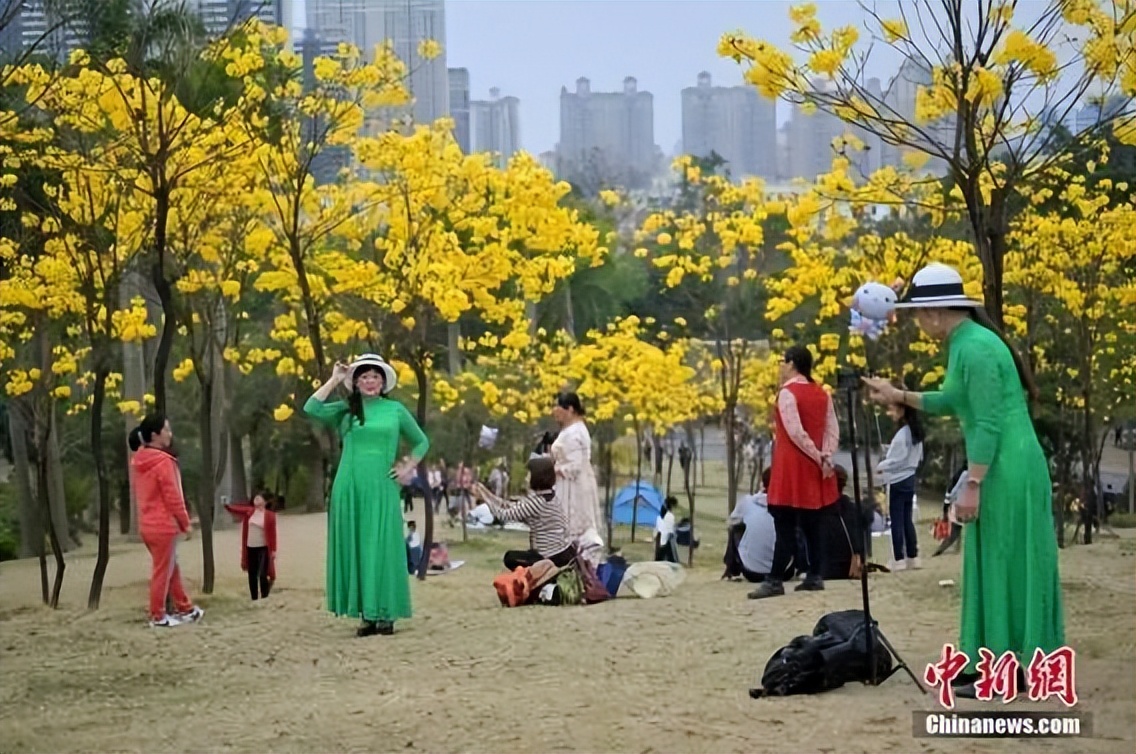 发现寄生虫要报警吗,报警后为什么知道我的详细地址